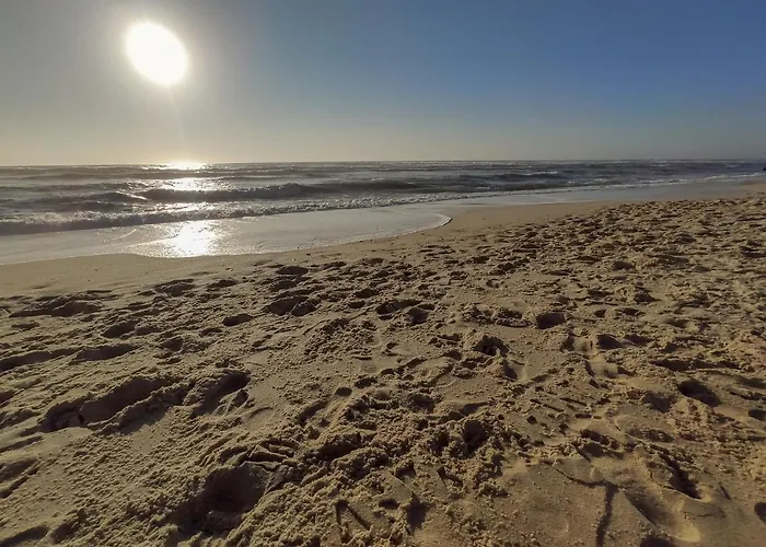 Brisa Do Mar Da Vagueira 아파트